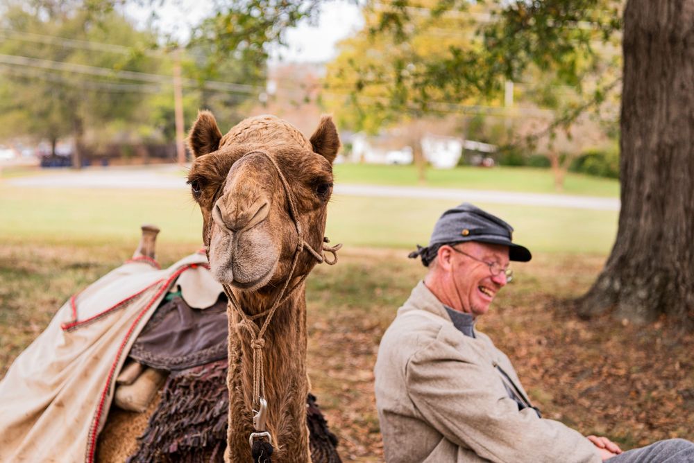 camel and man