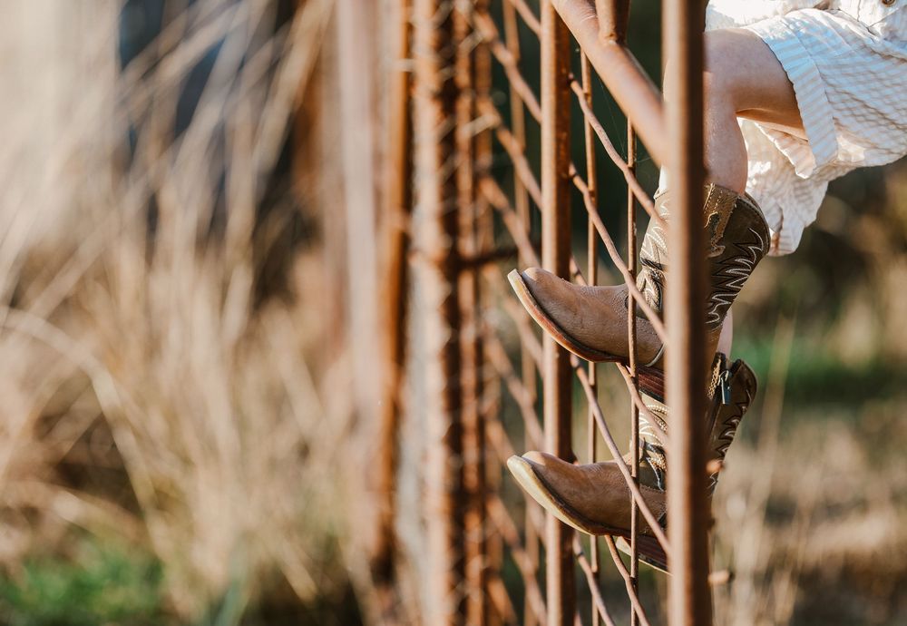Close-up view of weathered metal fence in rural setting.