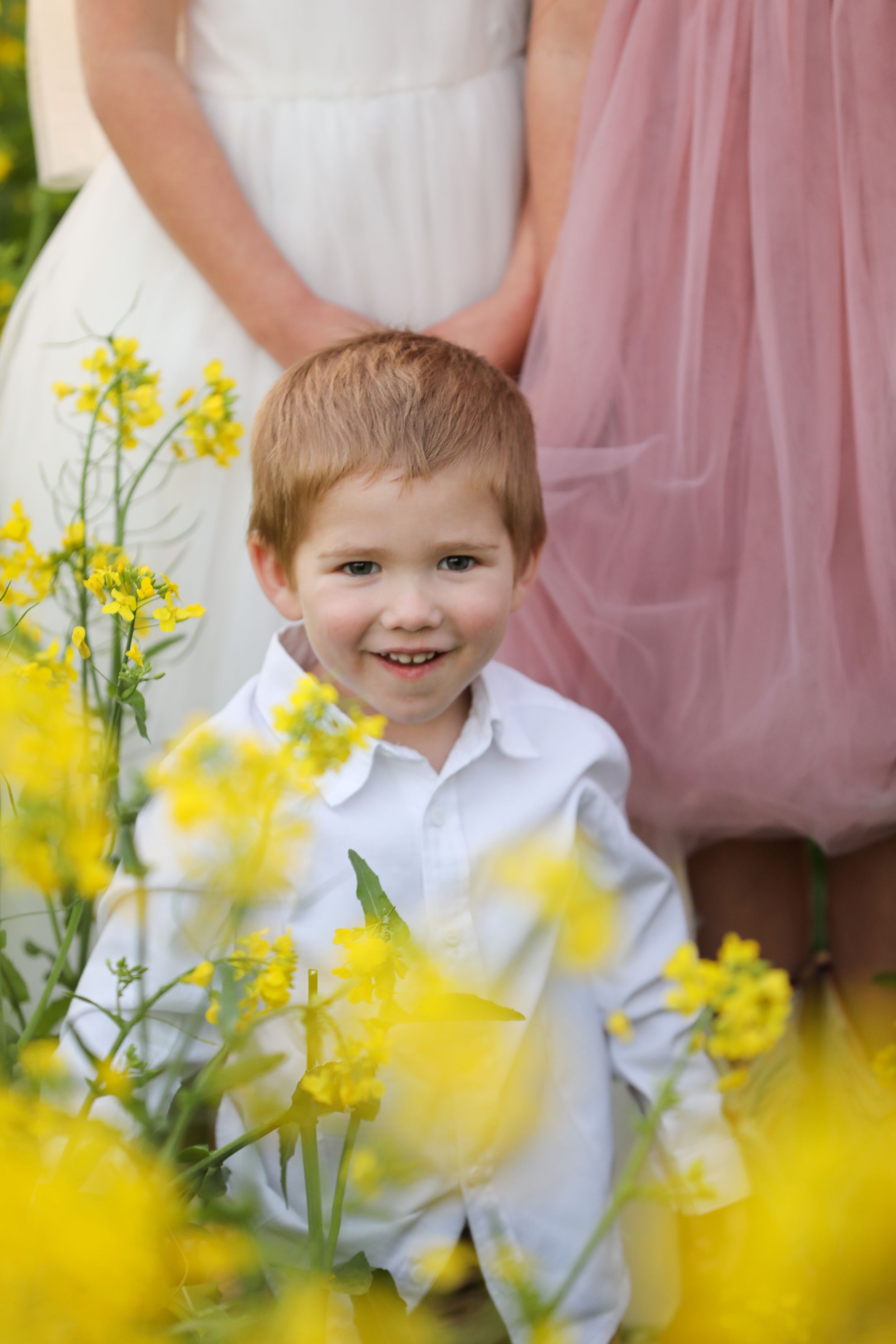 Child surrounded by bright yellow canola flowers in spring setting.
