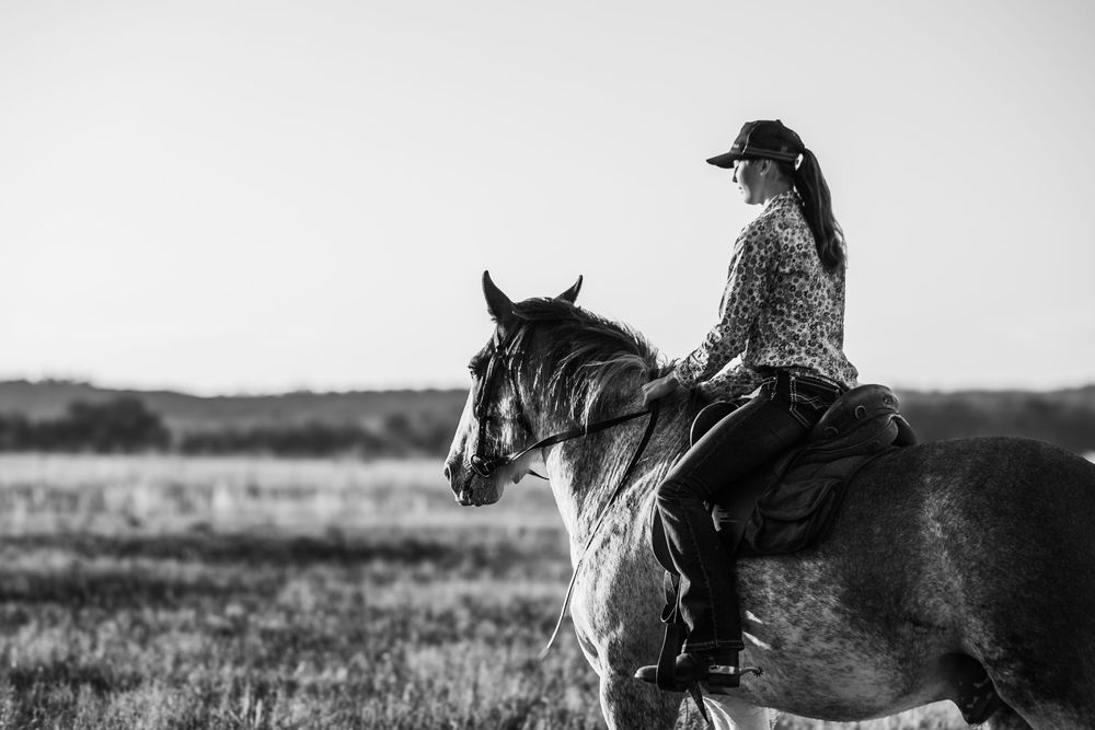 Riders on horseback traversing a rustic landscape at dusk.