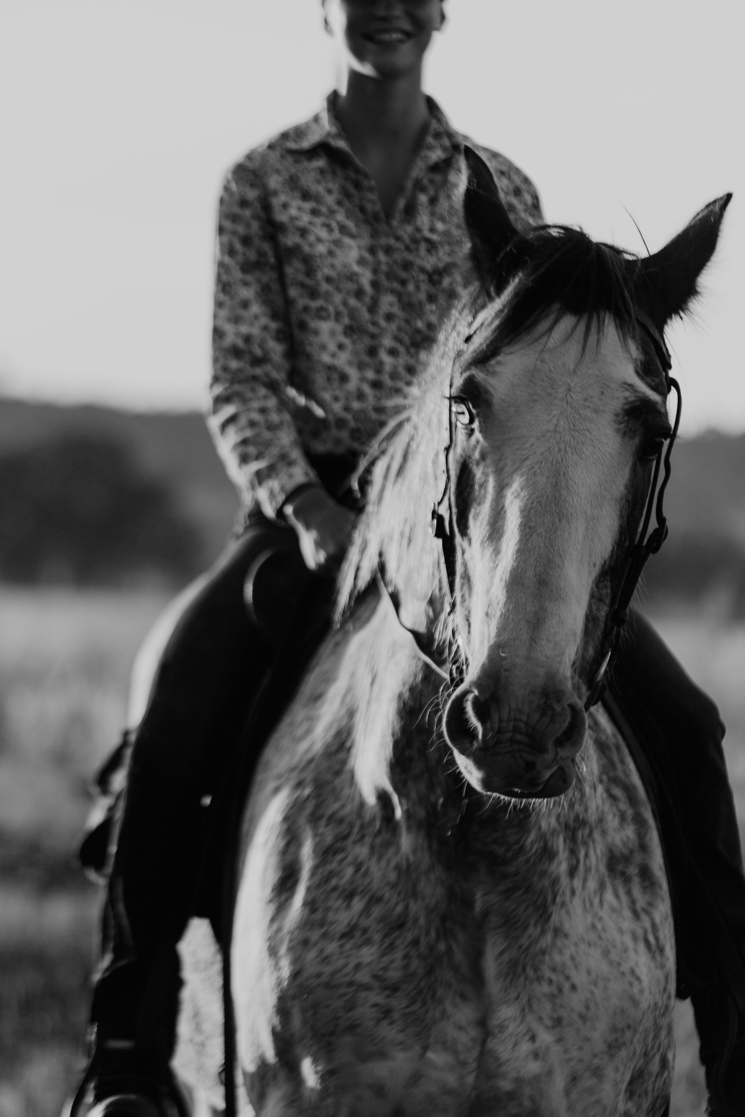Close-up portrait of a dappled gray horse with a rider in the background.