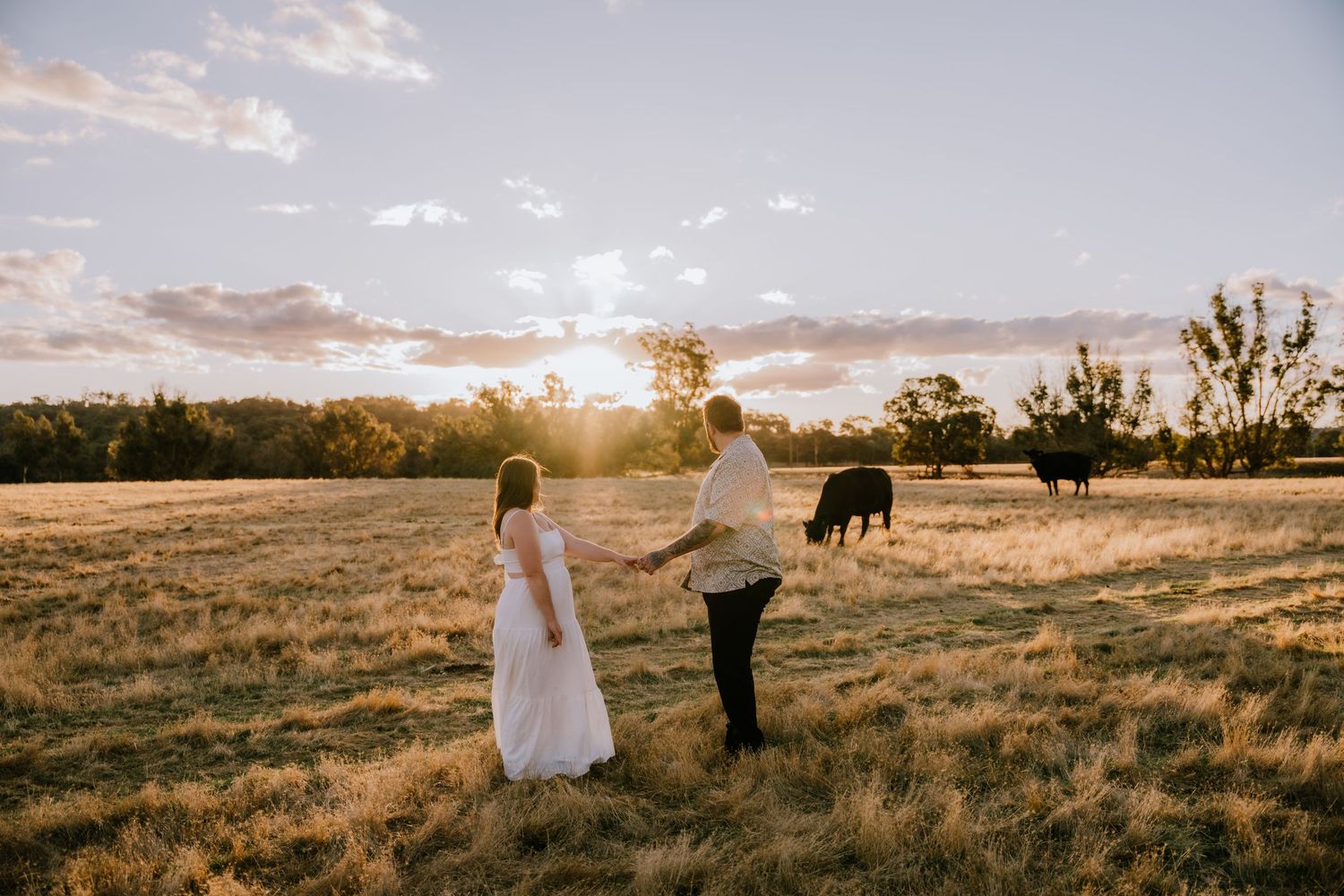 A couple explores a rural field at sunset with cattle grazing in the distance.
