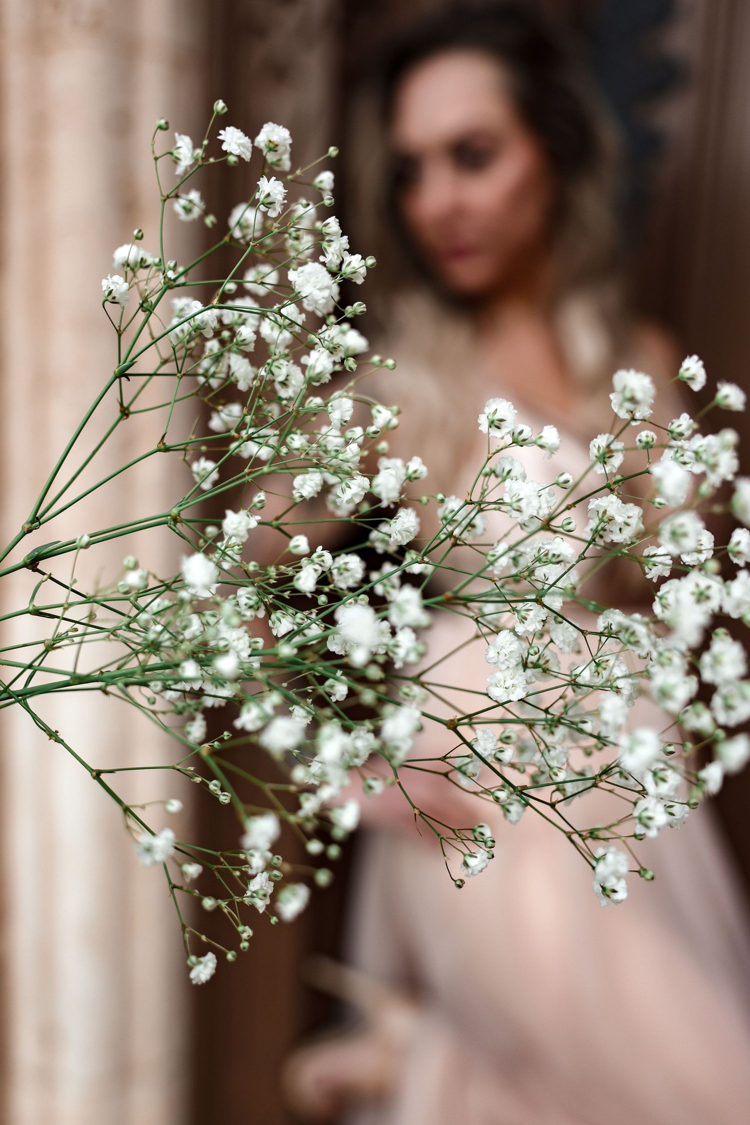 Delicate white baby's breath flowers in focus with a soft blurred background.