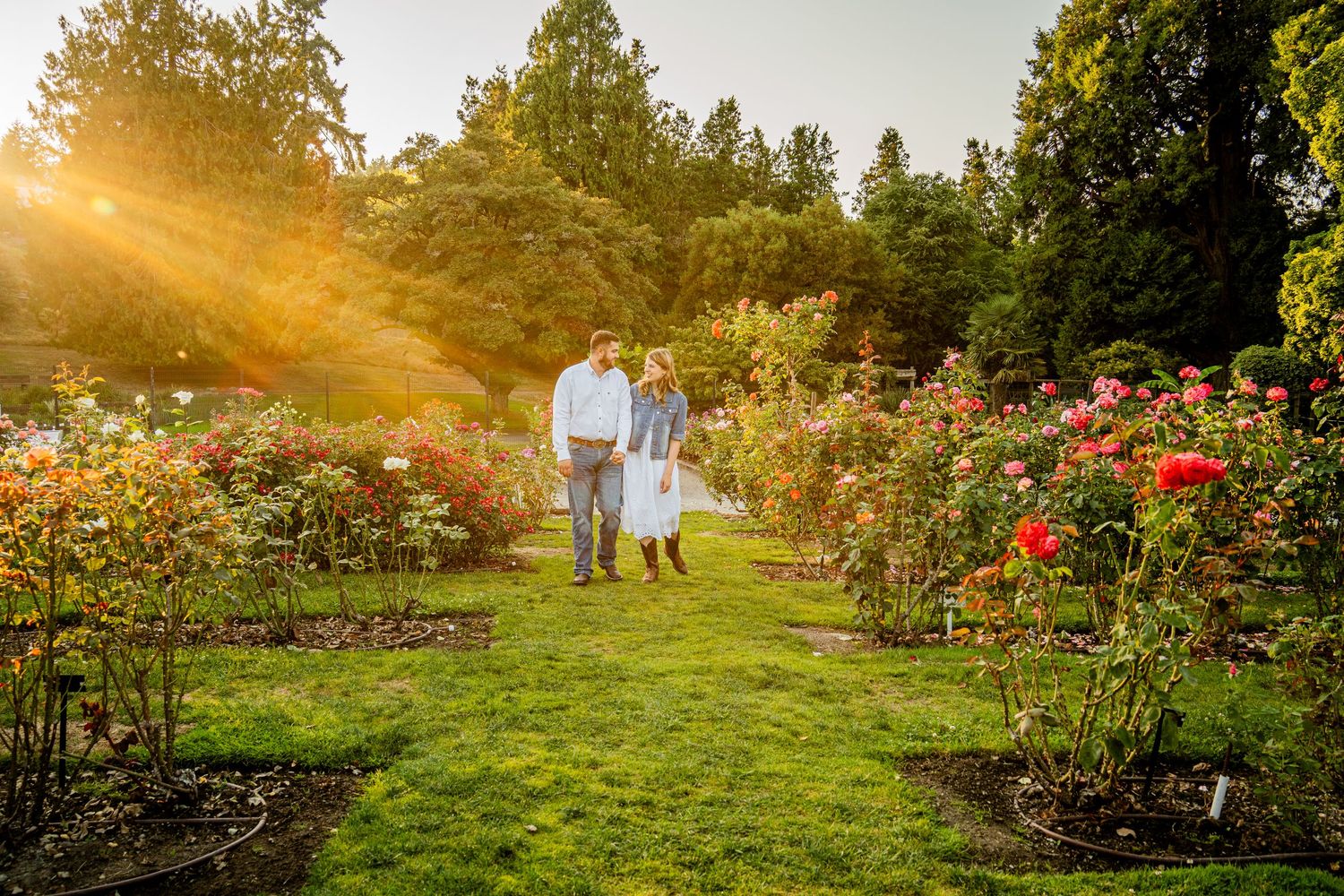 Golden sunlight streams through trees in a lush garden with blooming roses and walking figures in the distance.