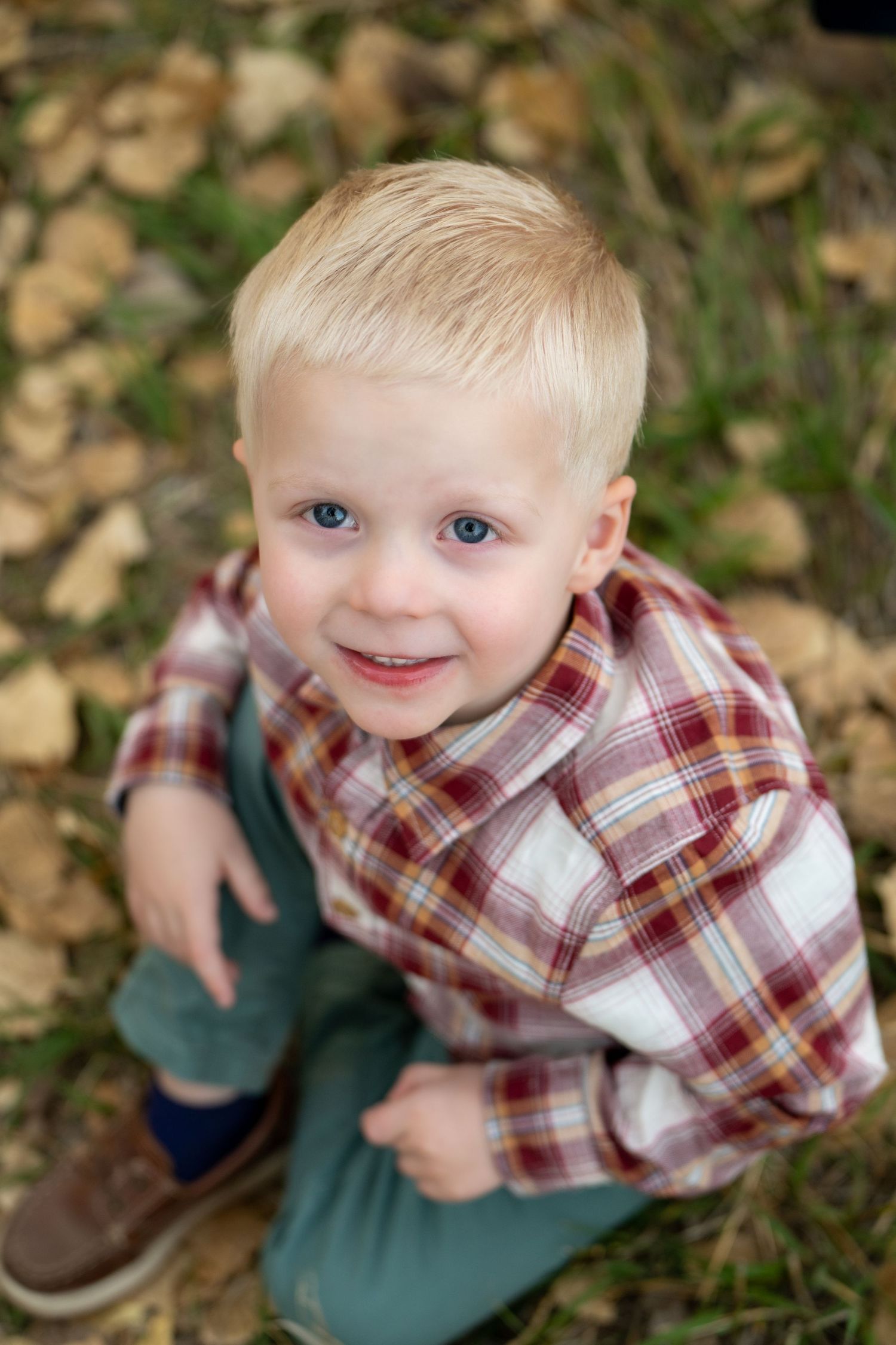 Smiling child wearing a red plaid shirt sits among fallen autumn leaves.