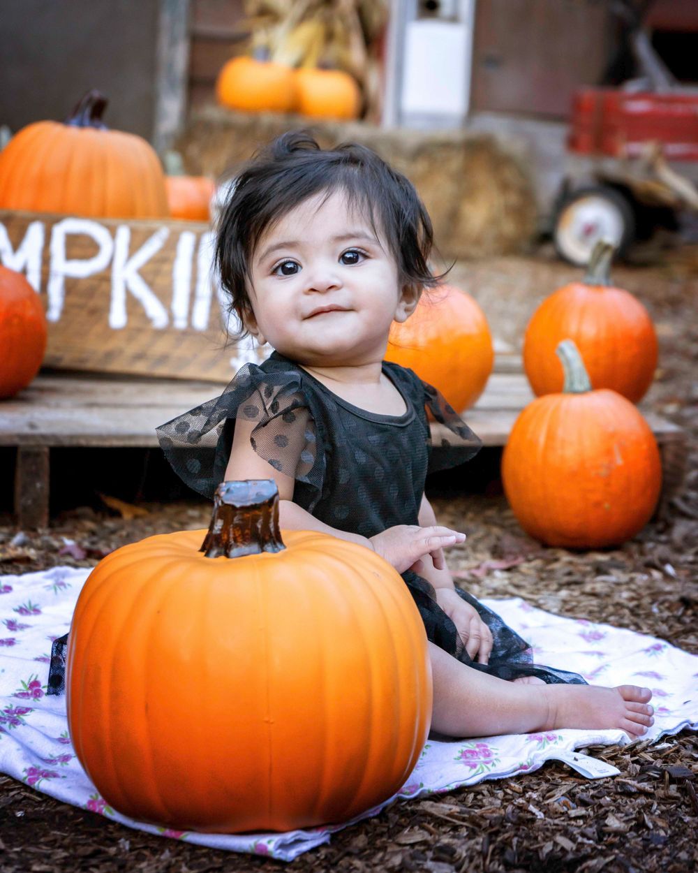 child, kid, babie, niña, smile, niño, sibiling, bebes, nene, Alpharetta, pumking, hermana, beba, children, infant, toddler,  brother, family