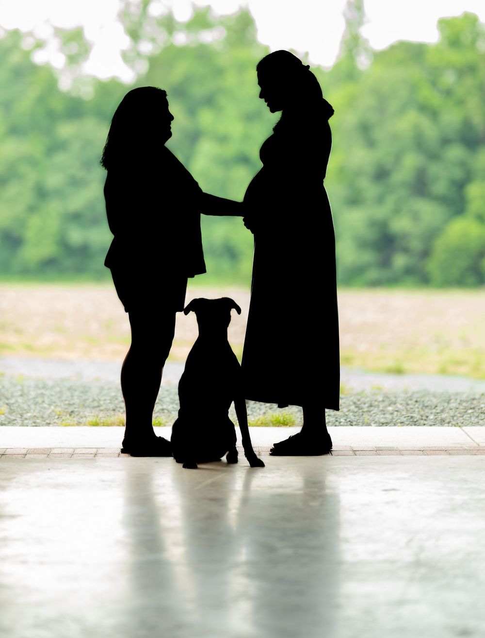 Silhouette of two people standing together with a dog against a bright green background outdoors.
