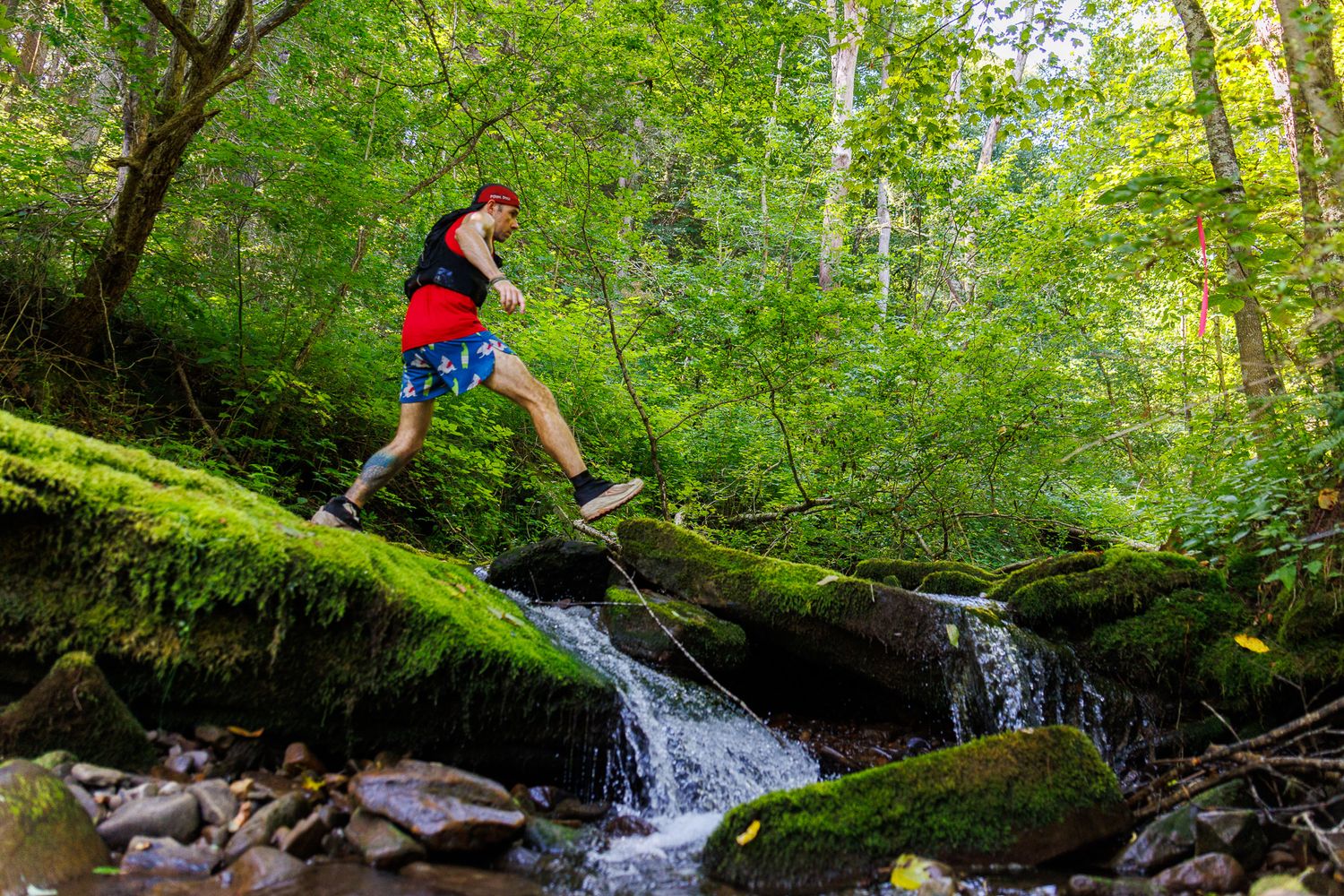 A hiker crosses a mossy log over a small waterfall in a lush green forest.
