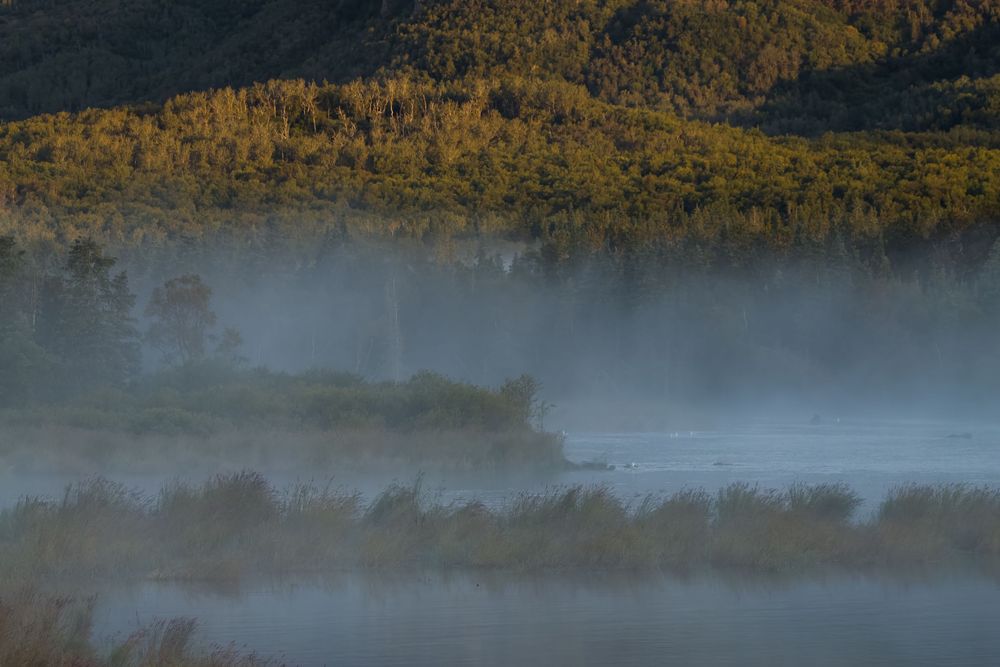 Misty morning fog drifting over a calm lake with golden autumn forest hills beyond.