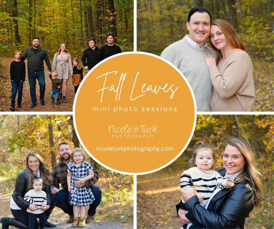 large family, family of 4, mother and daughter, 1 , couples in forest in the fall with bright autumn leaves