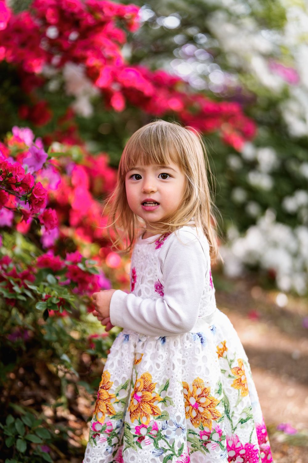 Adorable toddler girl in floral dress standing beside vibrant pink bougainvillea blooms in a garden, in Meadowlark Park, Virginia
