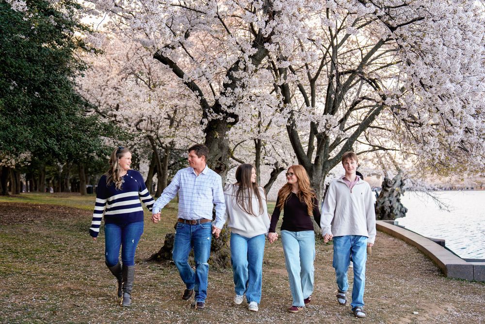 Family of five walking together under blooming cherry blossom trees in a park during spring, in Washington DC