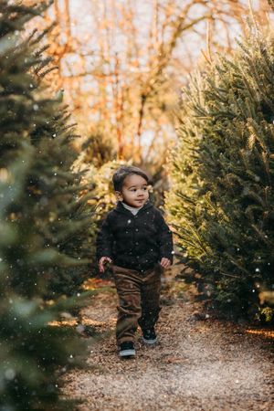 A small child explores a Christmas tree farm on a sunny autumn day with evergreen trees in the background.