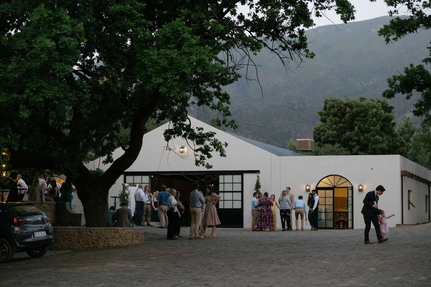 Matthew and Eliam at Langkloof Roses documentary wedding photos capturing celebrations and beautiful portraits with Christene de Coning.