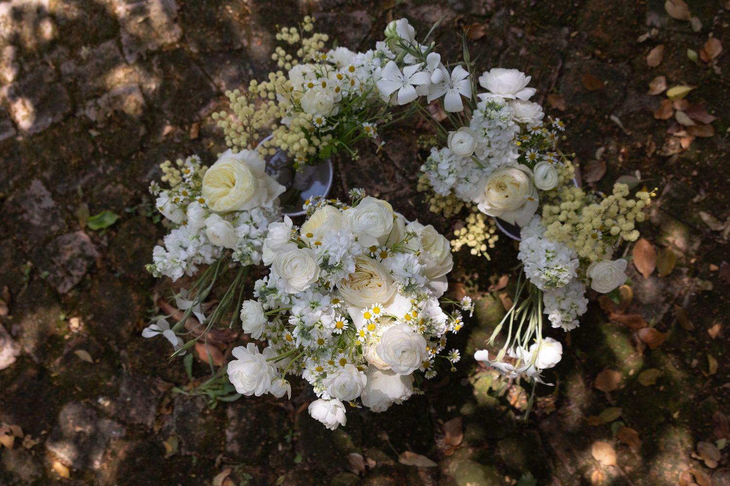 Matthew and Eliam at Langkloof Roses documentary wedding photos capturing celebrations and beautiful portraits with Christene de Coning.