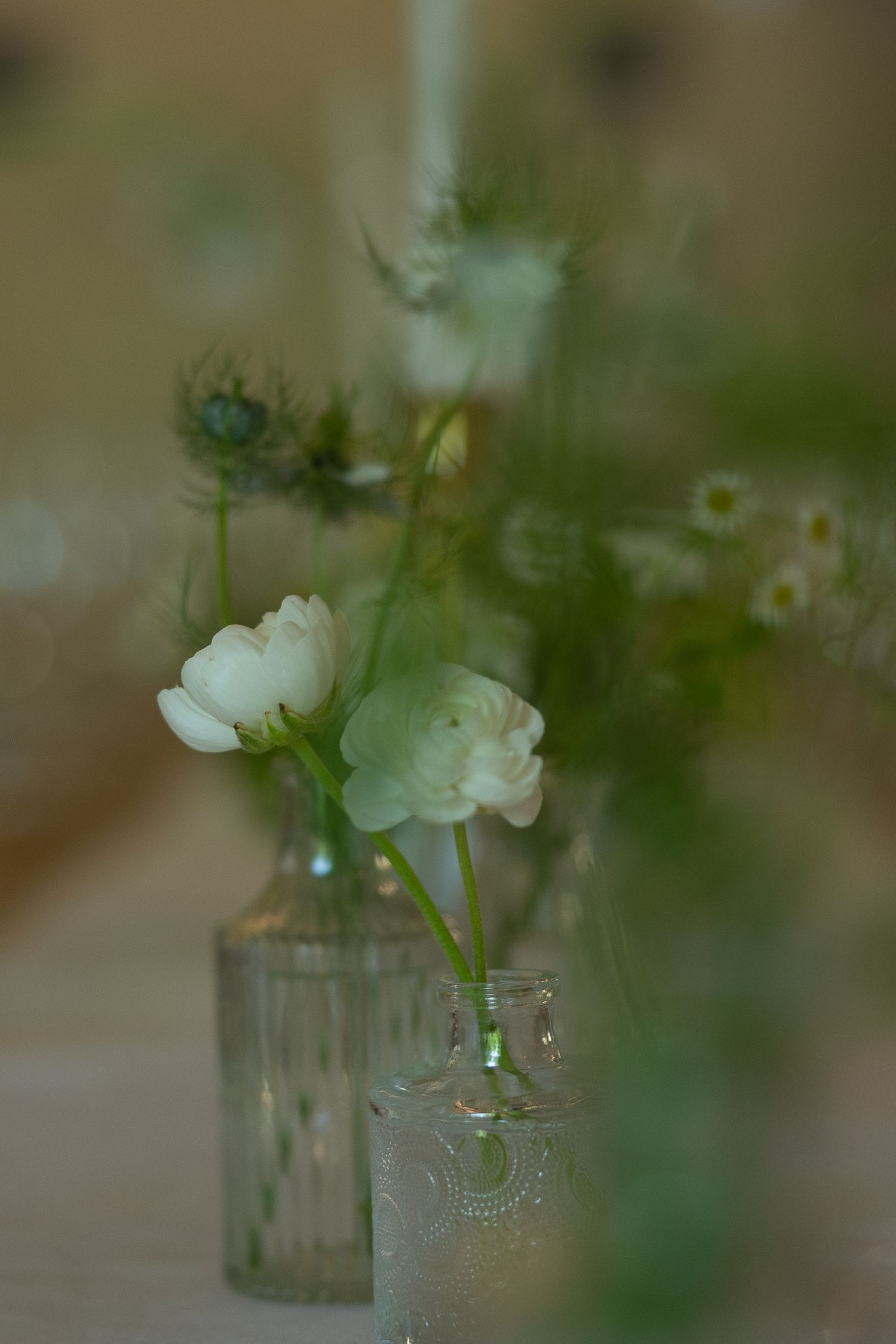 Matthew and Eliam at Langkloof Roses documentary wedding photos capturing celebrations and beautiful portraits with Christene de Coning.