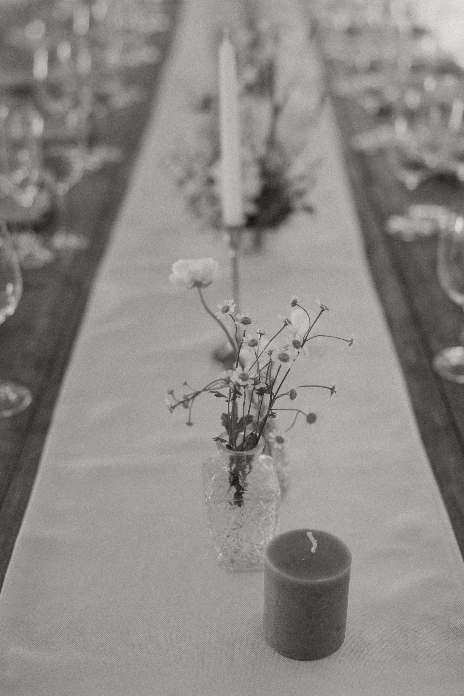 Matthew and Eliam at Langkloof Roses documentary wedding photos capturing celebrations and beautiful portraits with Christene de Coning.