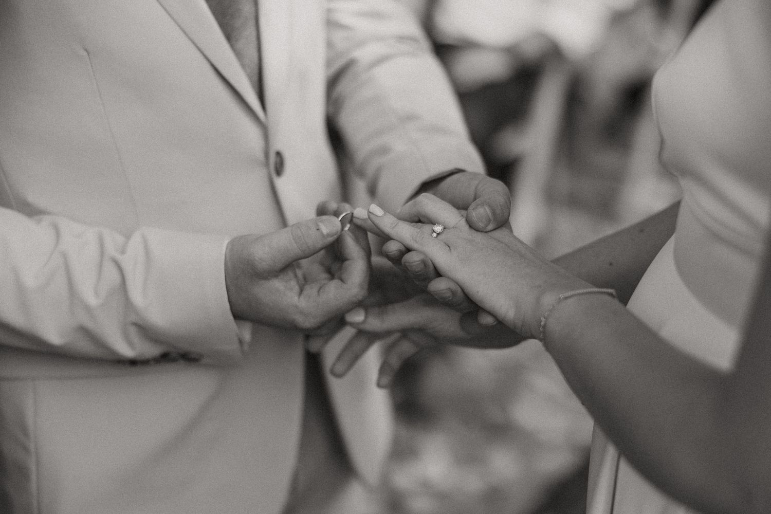Matthew and Eliam at Langkloof Roses documentary wedding photos capturing celebrations and beautiful portraits with Christene de Coning.