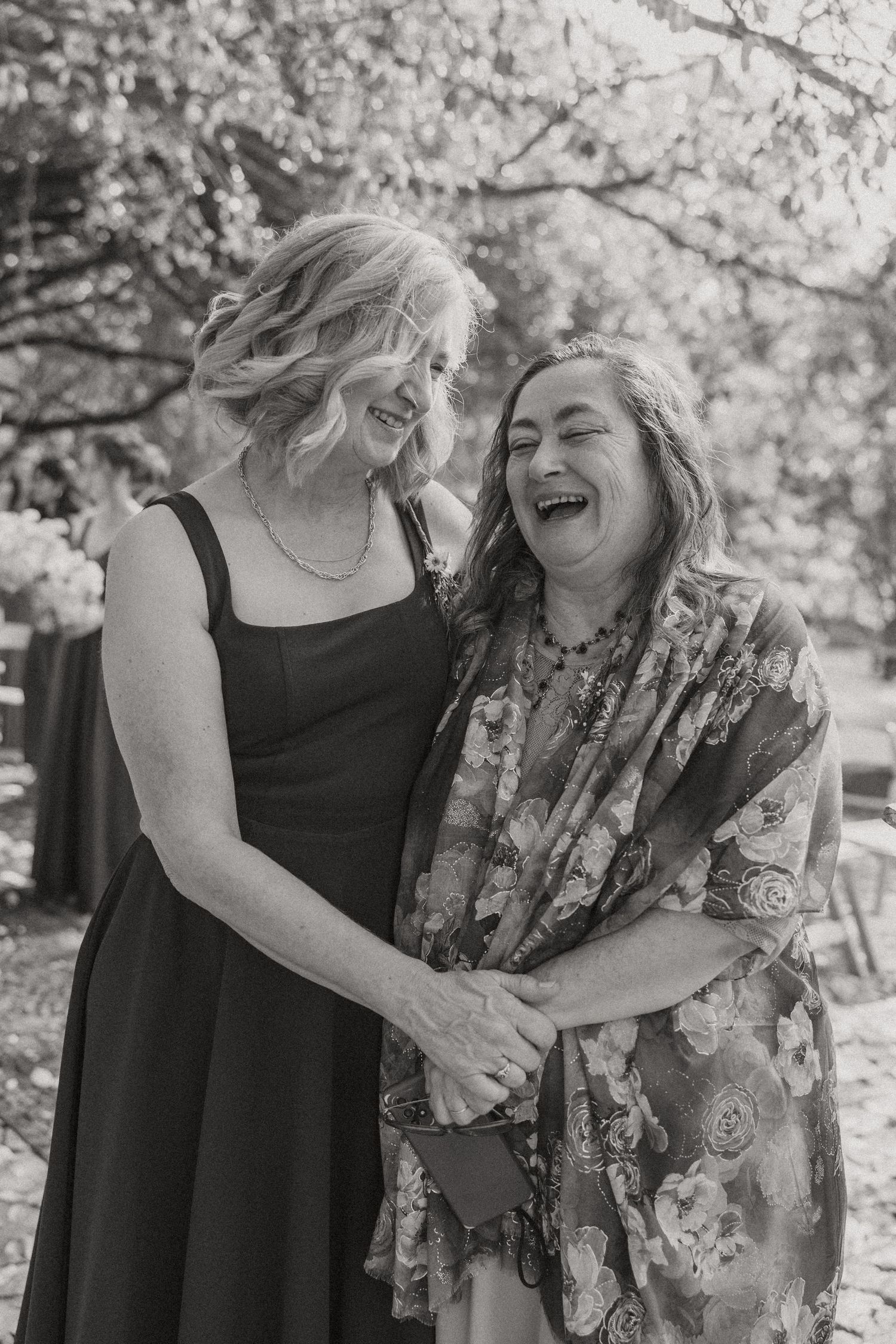 Matthew and Eliam at Langkloof Roses documentary wedding photos capturing celebrations and beautiful portraits with Christene de Coning.