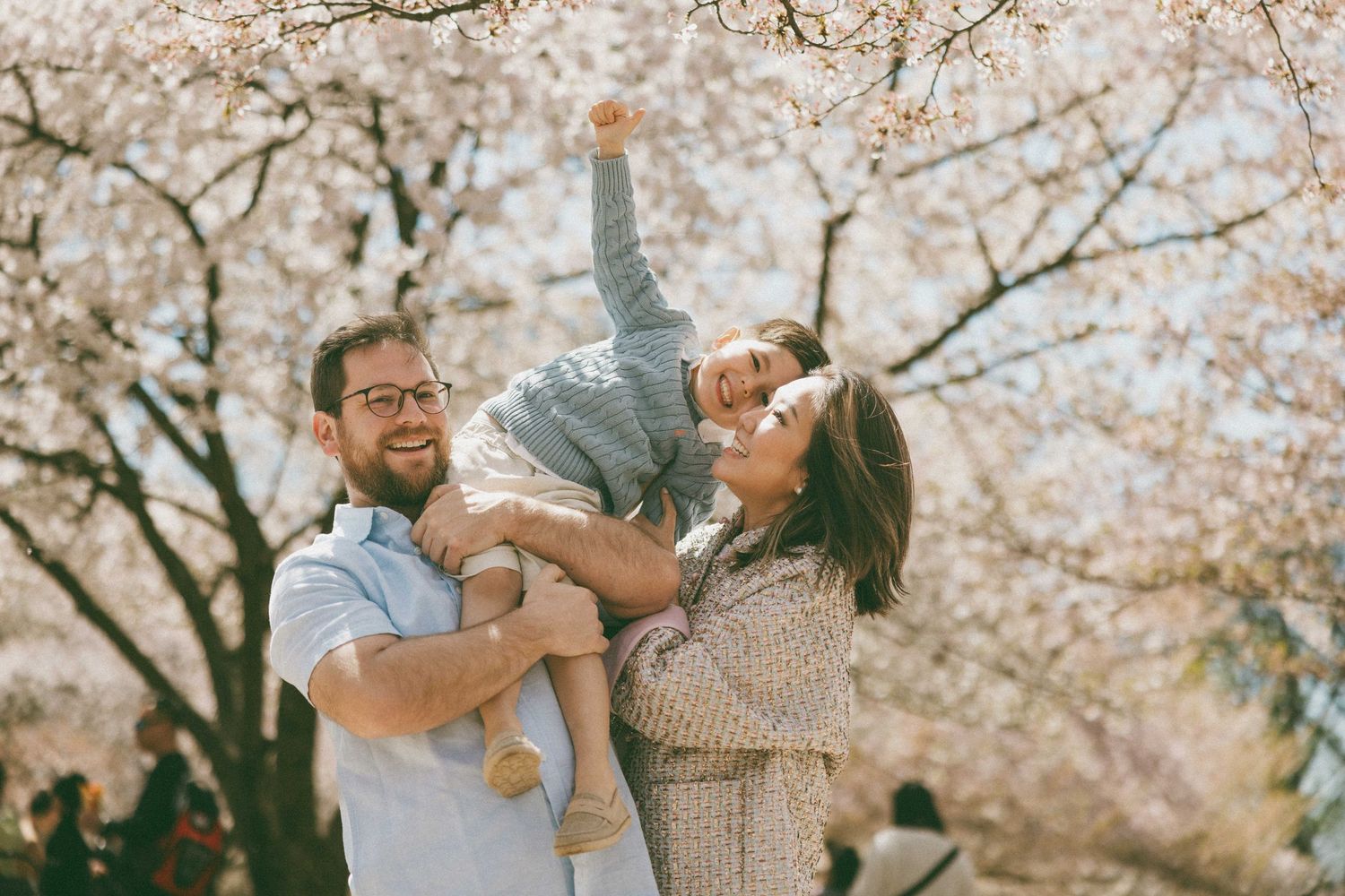 Happy family with baby enjoying cherry blossom trees in spring, parents smiling and lifting child outdoors.