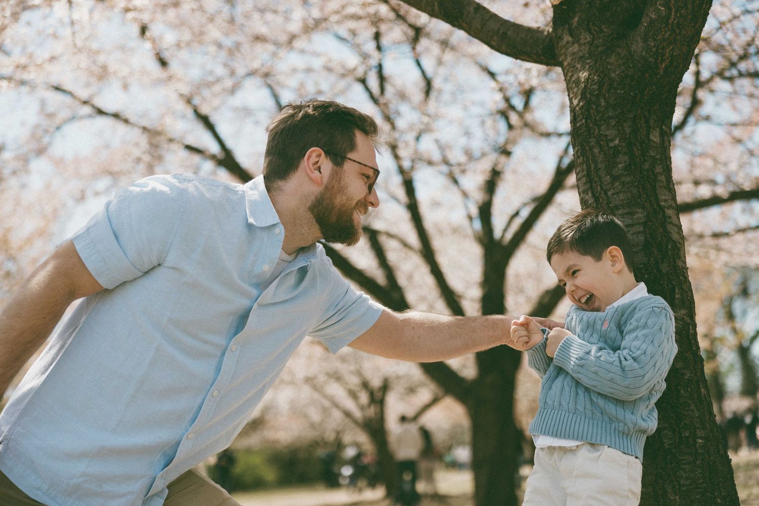 A father and young son share a playful moment under blooming cherry blossom trees in a park.