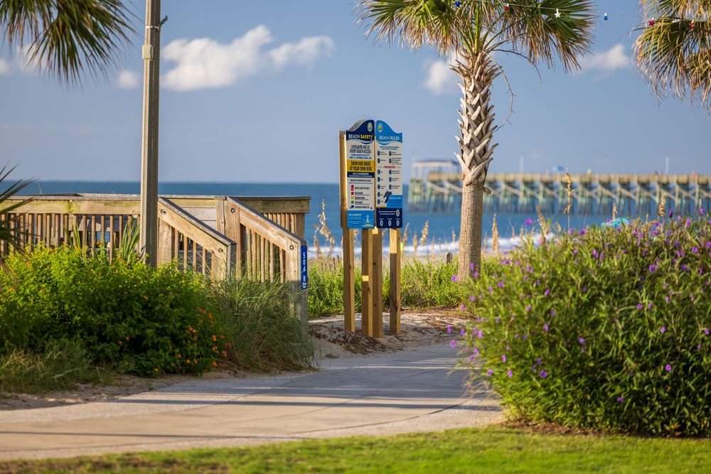 A scenic beach boardwalk path lined with palm trees and signs leading to the ocean pier on a sunny day.