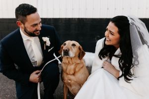 A couple laughs with their golden retriever during wedding photos against a white backdrop.