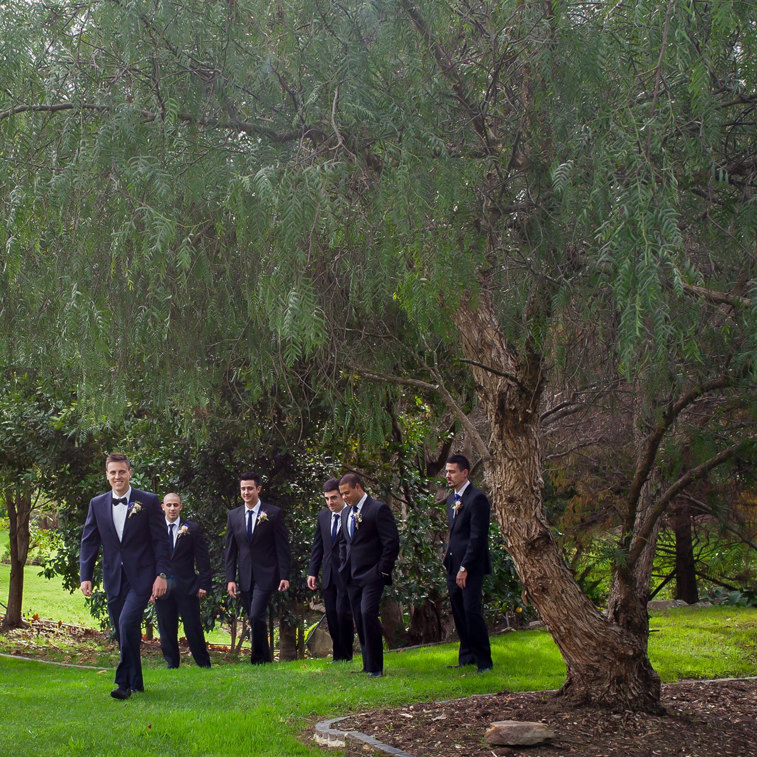 Groom and groomsmen in navy suits walking through parkland trees, Suffolk wedding photographer.