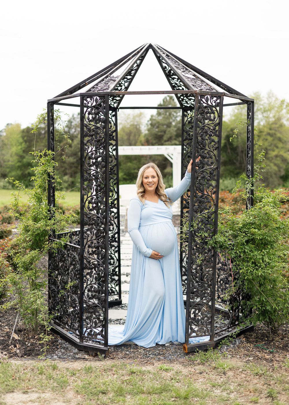 Maternity portraits in flowing blue dress under decorative black metal garden arbor.