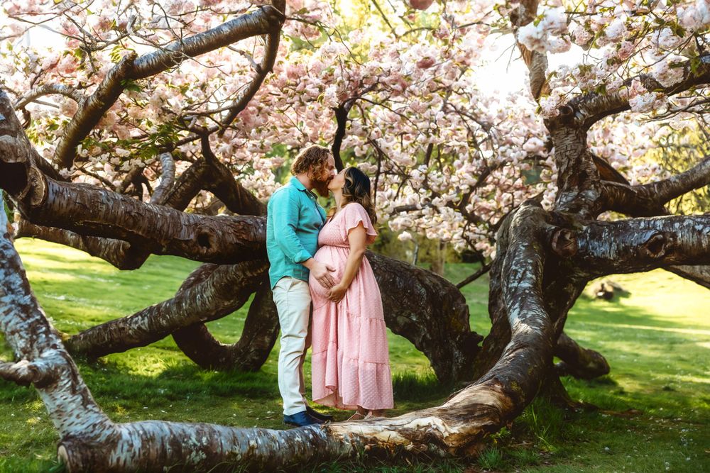 Maternity session in the cherry blossom trees at Point Defiance Park in Tacoma Washington