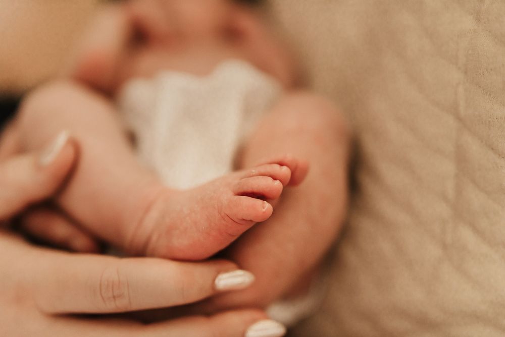 cincinnati newborn lifestyle photographer