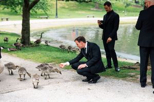 A person in a dark suit crouches down to feed ducks by a pond while others watch and take photos in a park setting.