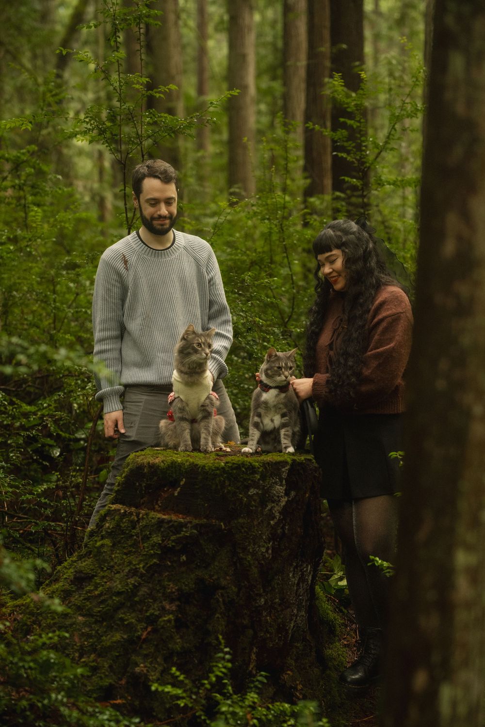 Two people sit with a small kitten on a mossy tree stump in a lush green forest setting.