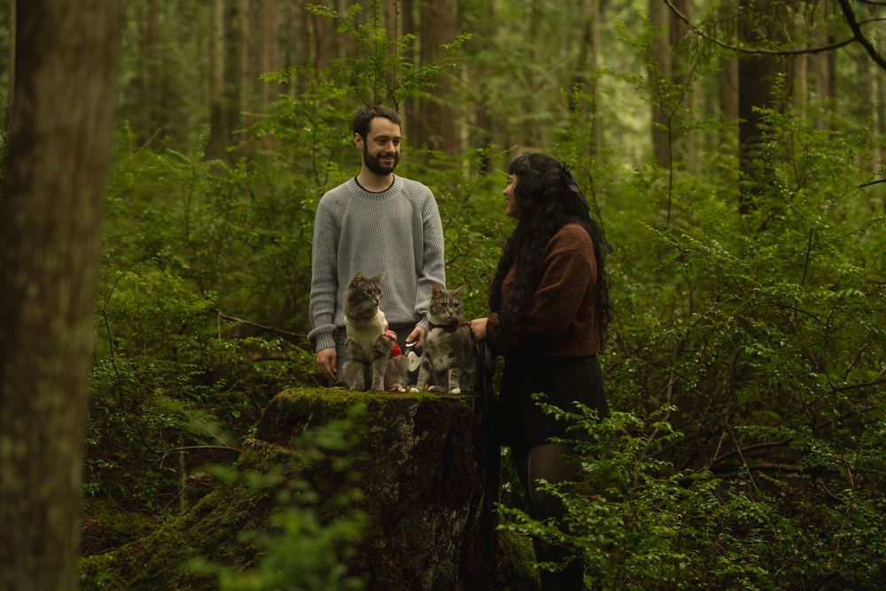 People walking through a lush green forest trail surrounded by dense vegetation and tall trees.