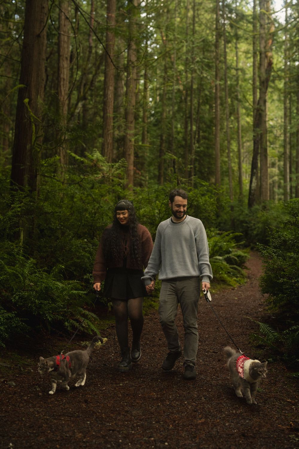 Two people walk along a wooded trail through a lush green forest on a sunny afternoon.