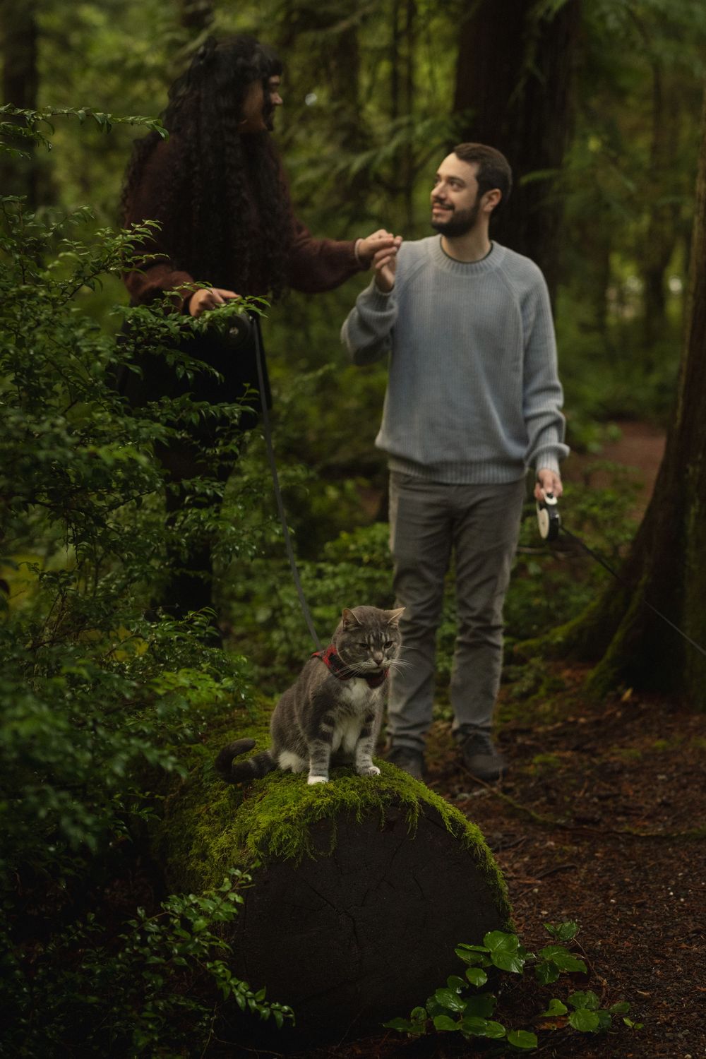 Person in a grey sweater walks through a lush forest trail with mossy trees and green foliage.