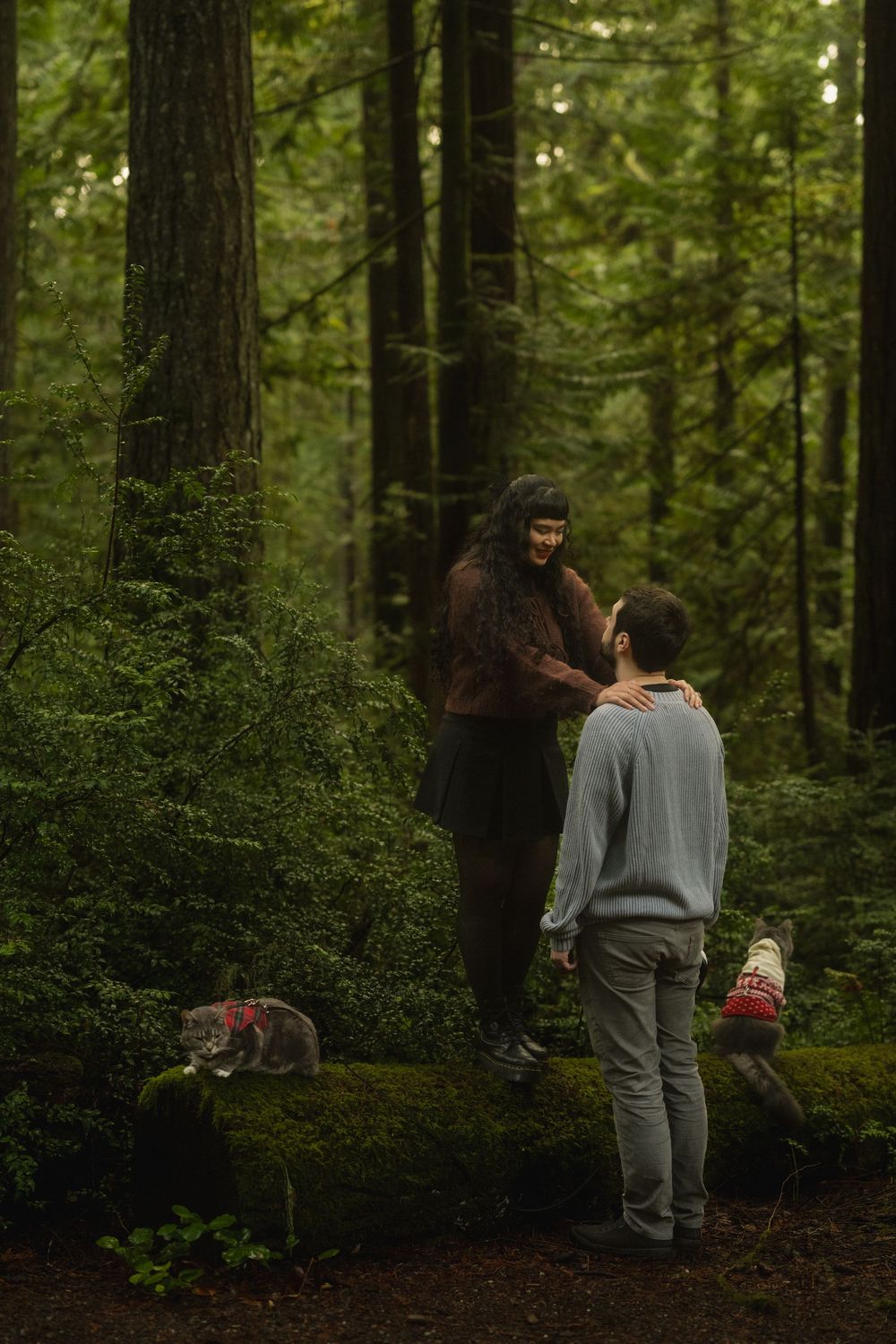 Two people and a dog explore a misty forest trail surrounded by tall evergreen trees.