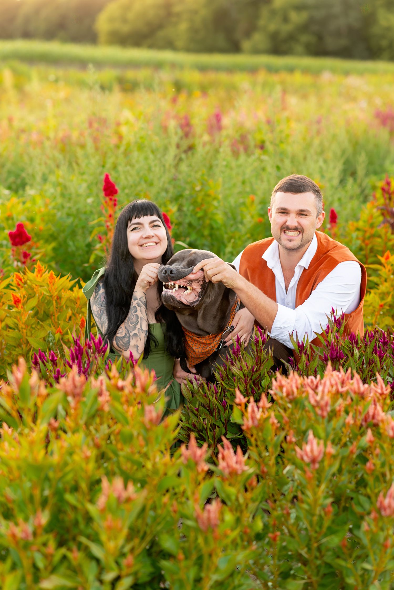 Playful portrait of Couple and their big dog in a vibrant wildflower field with red and pink blooms at the Flower Lady and Gent.