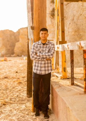 A person in plaid shirt stands between wooden posts against sandy beach background.