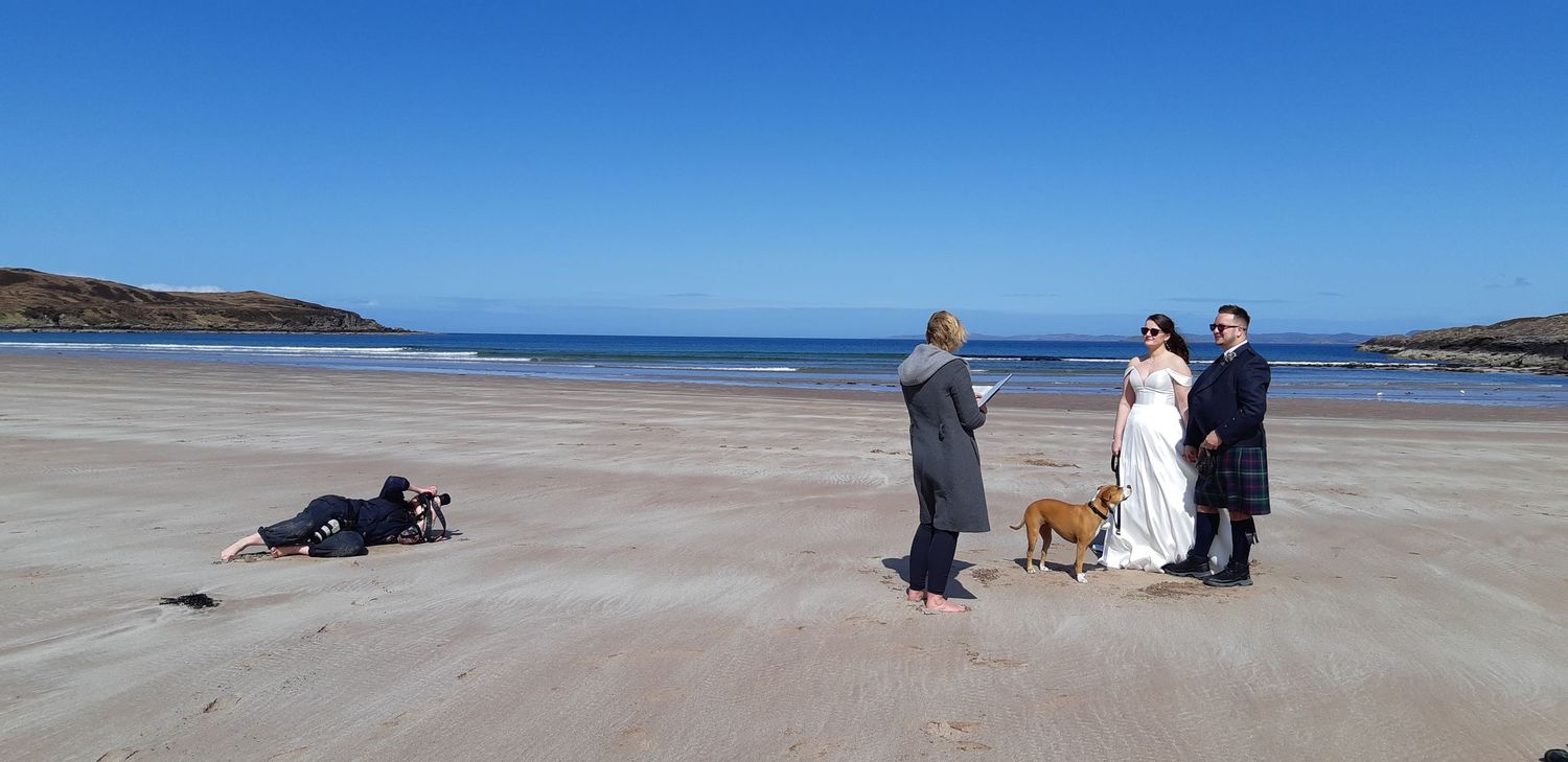 People and dogs enjoy a sunny day at a scenic beach with blue water and rocky coastline in the background.
