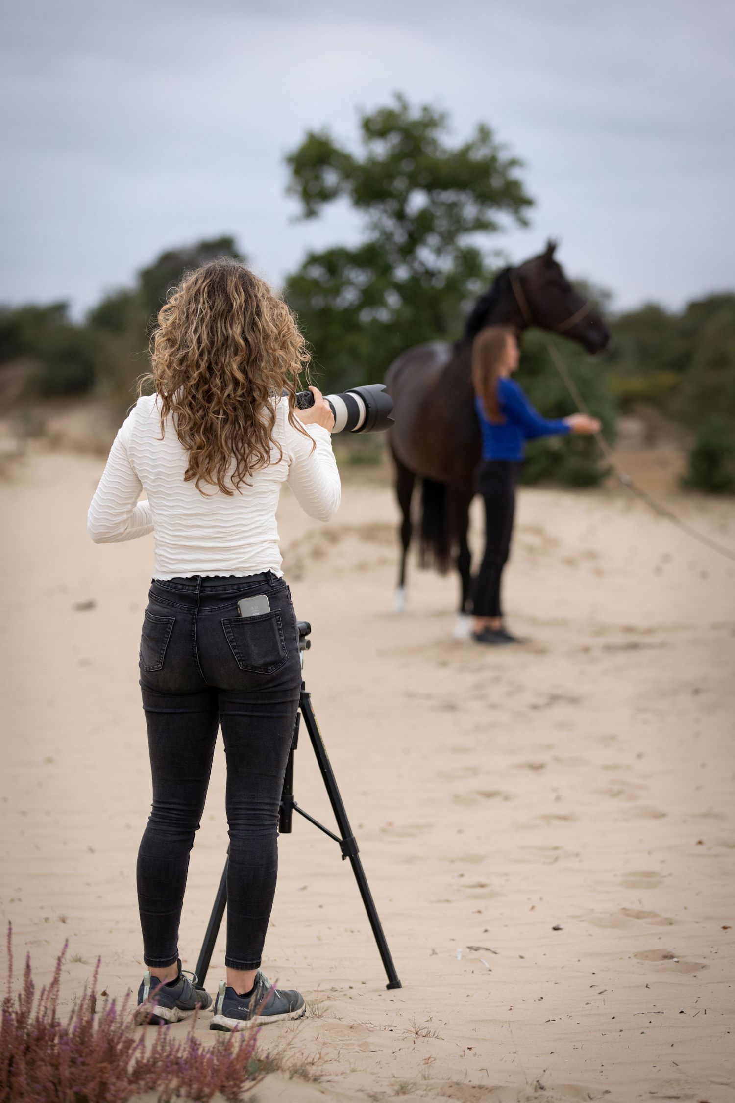 Paardenfotografie - Nadine Oostelbos Fotografie