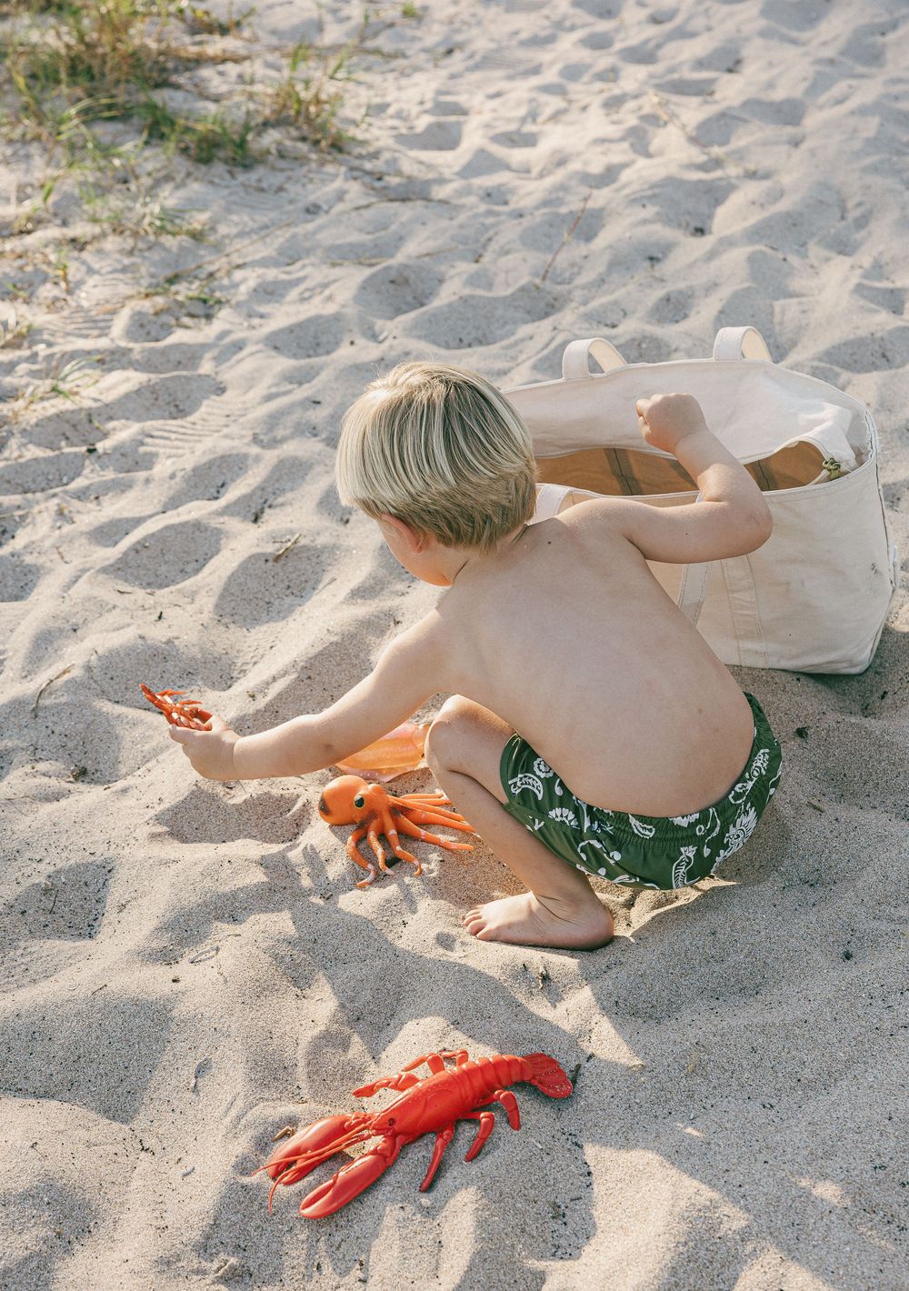 A sequence of someone playing in beach sand with red toy crabs and shells.