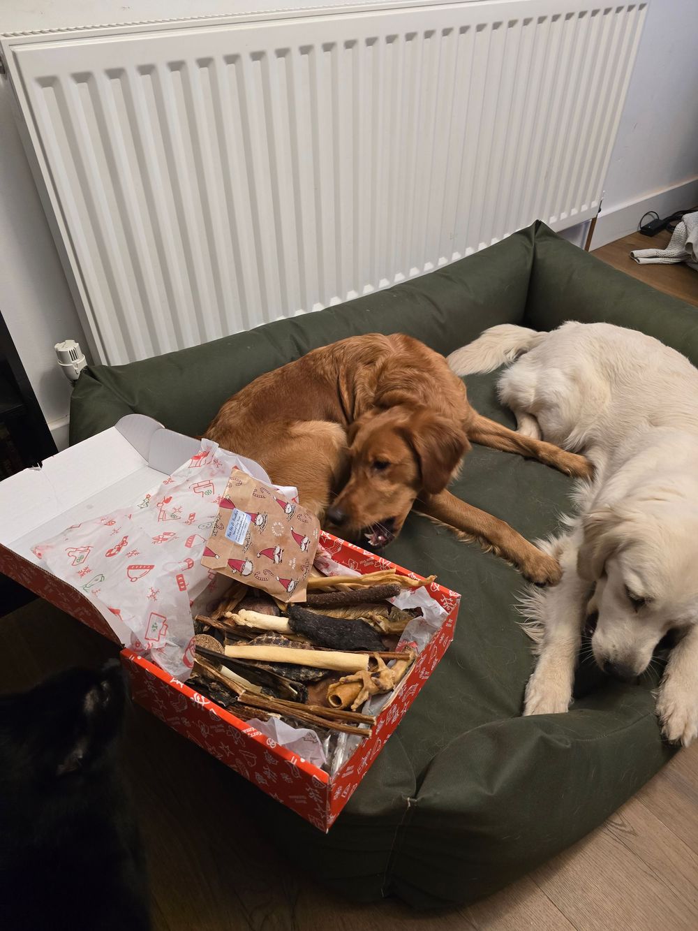Two dogs lying next to a torn up red gift box with scattered contents on a dark couch.