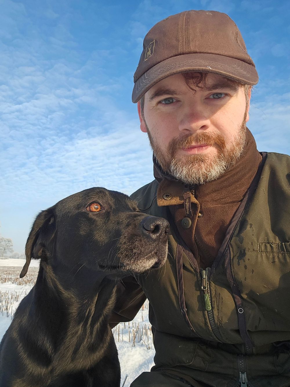 Black Labrador enjoying a winter day in the snow.