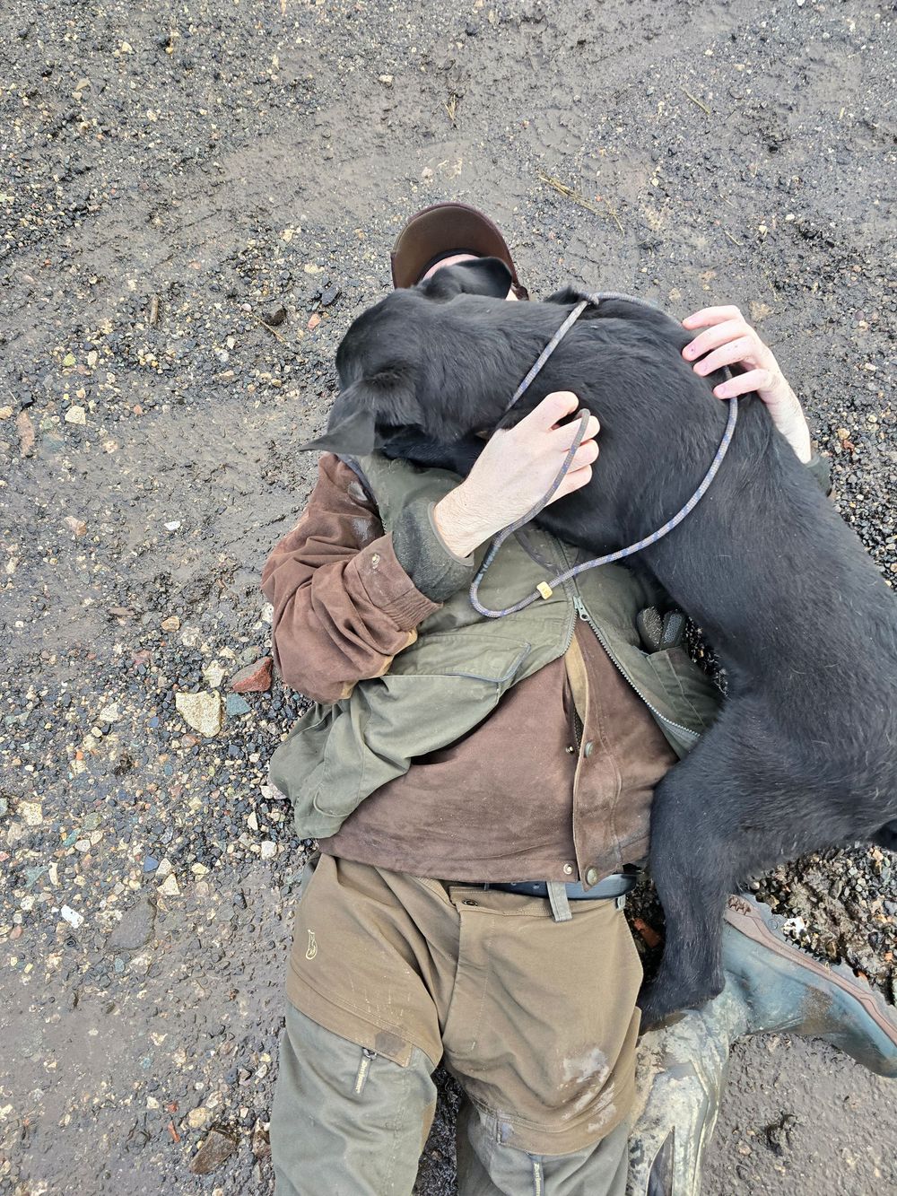 Black dog lying on the ground being petted.