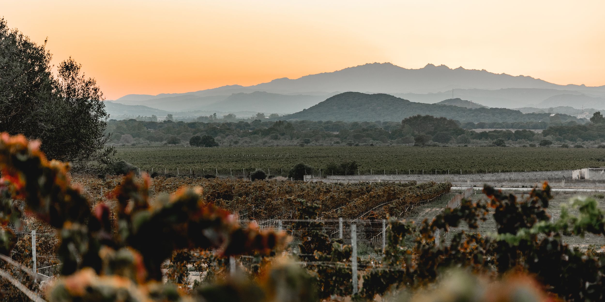 Panoramic mountain landscape at sunset with golden light and distant peaks.