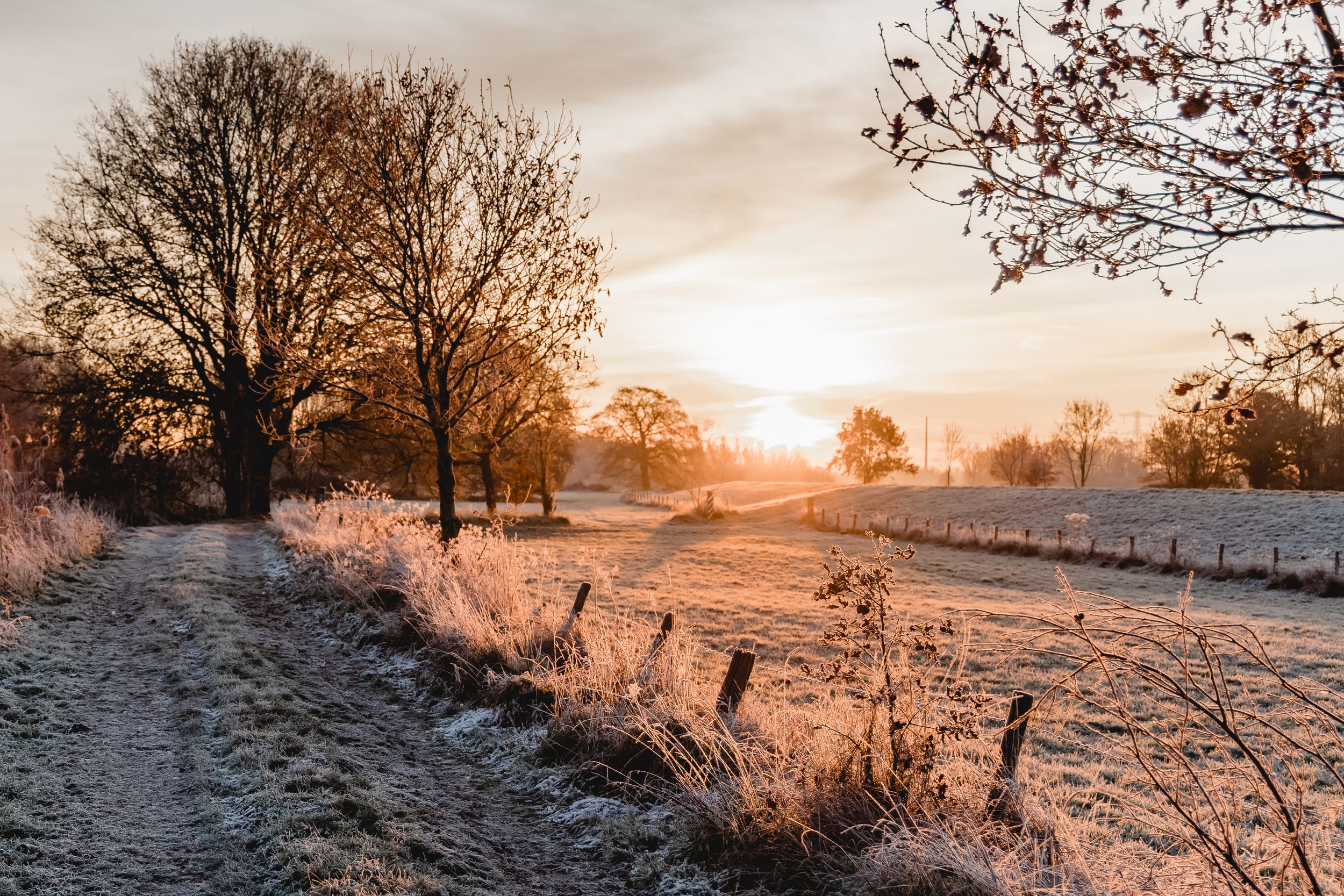 A frosty winter landscape at sunrise with silhouetted trees and golden morning light.