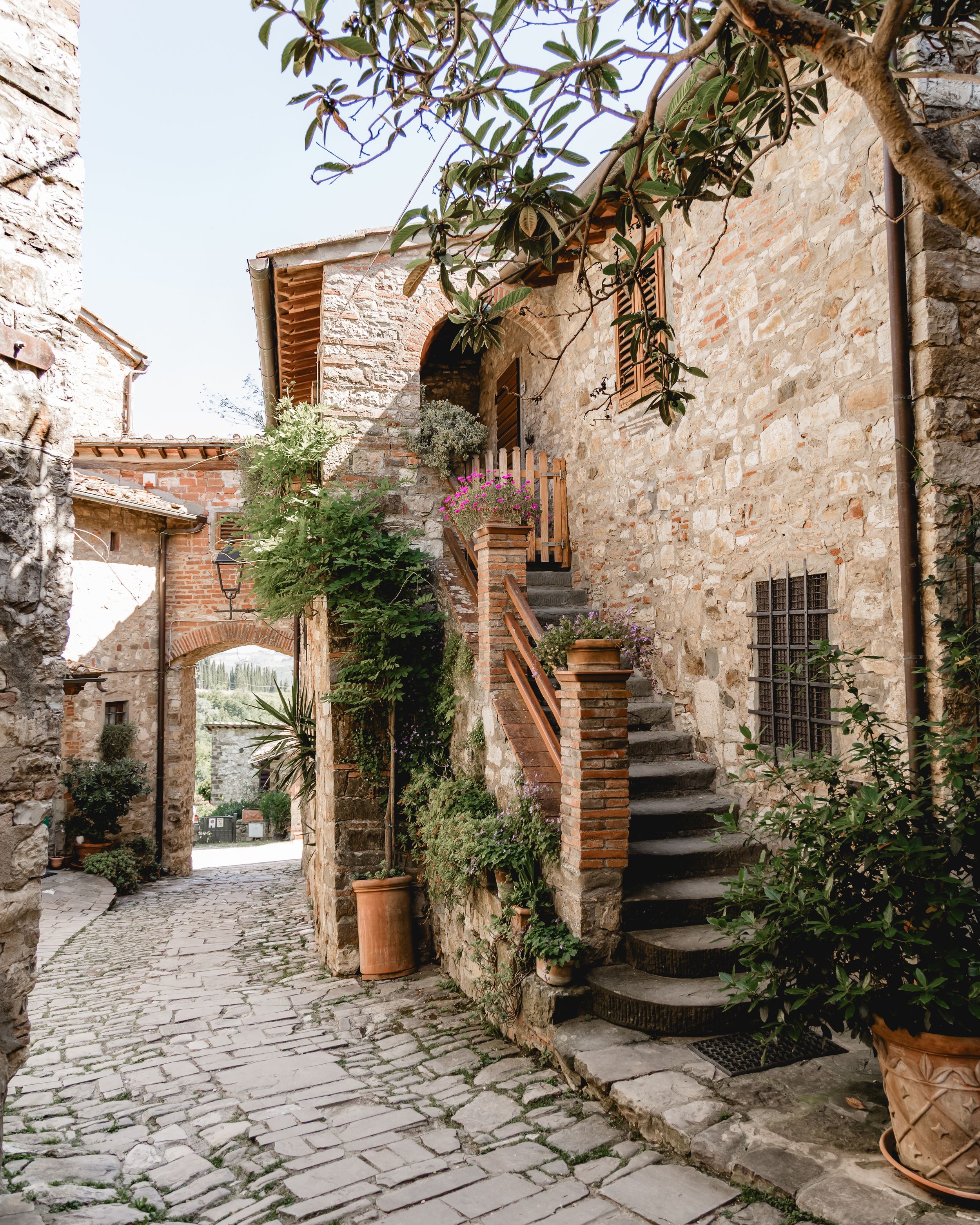Charming stone alleyway in an Italian village with rustic stairs and potted plants.
