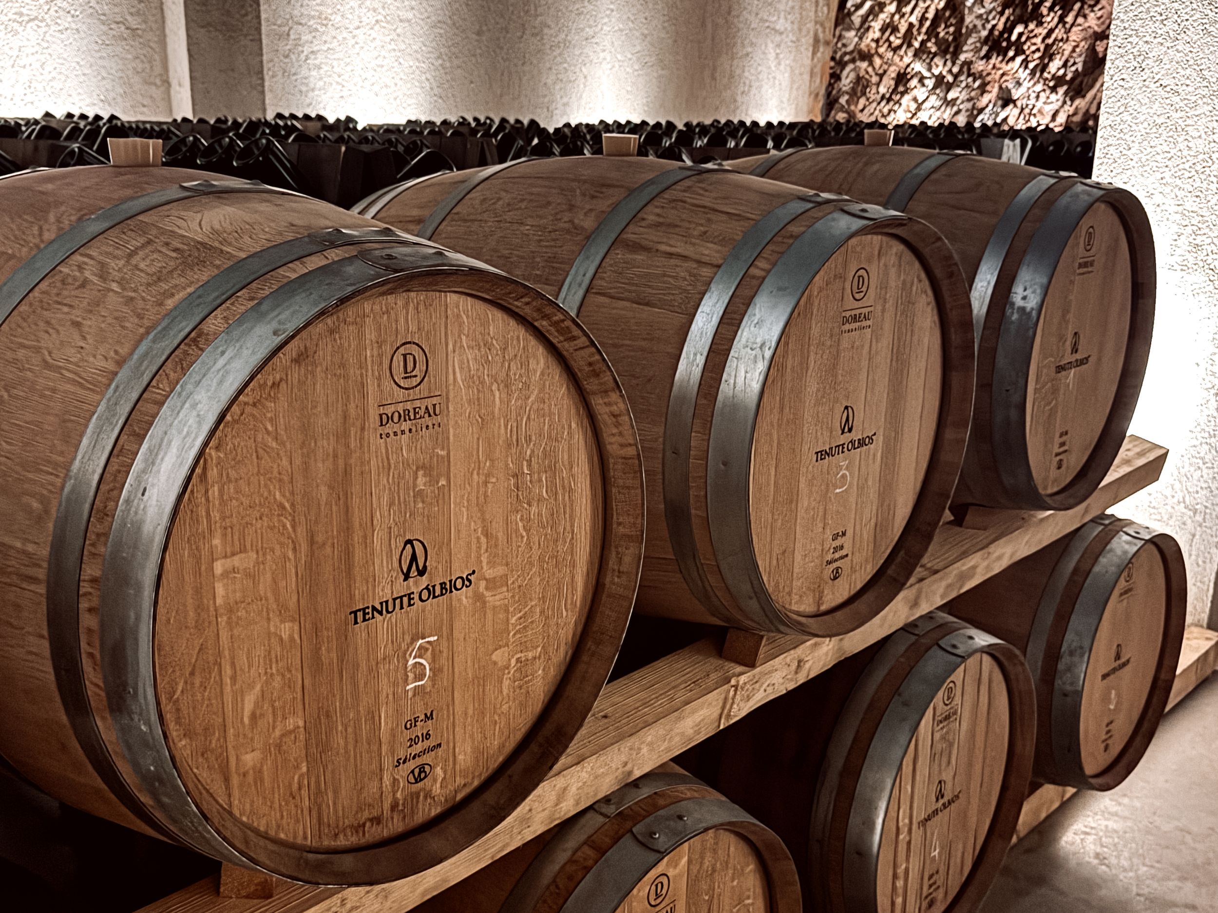 Row of wooden wine barrels aging in a dimly lit cellar.