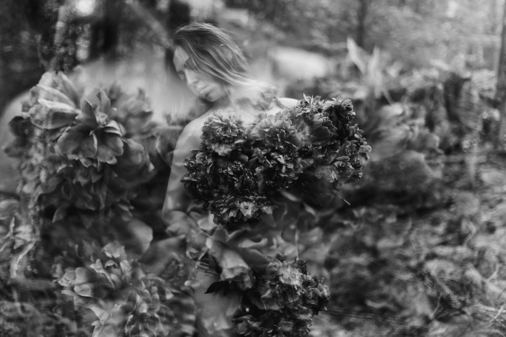 Black and white nature photograph showing delicate ferns and leaves in a misty forest setting.